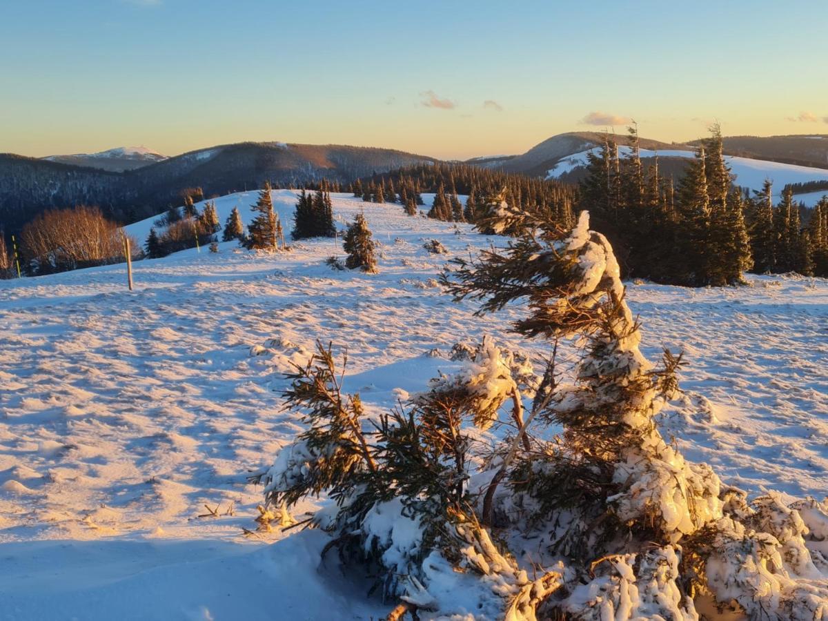 Spacieux Et Confortables Gites A Proximite Randonnees, Lacs, Ski Nature Sondernach Экстерьер фото