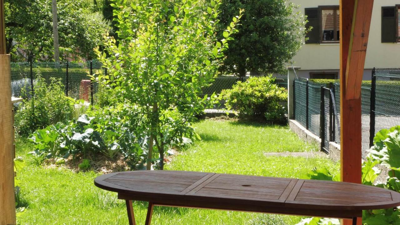 Spacieux Et Confortables Gites A Proximite Randonnees, Lacs, Ski Nature Sondernach Экстерьер фото