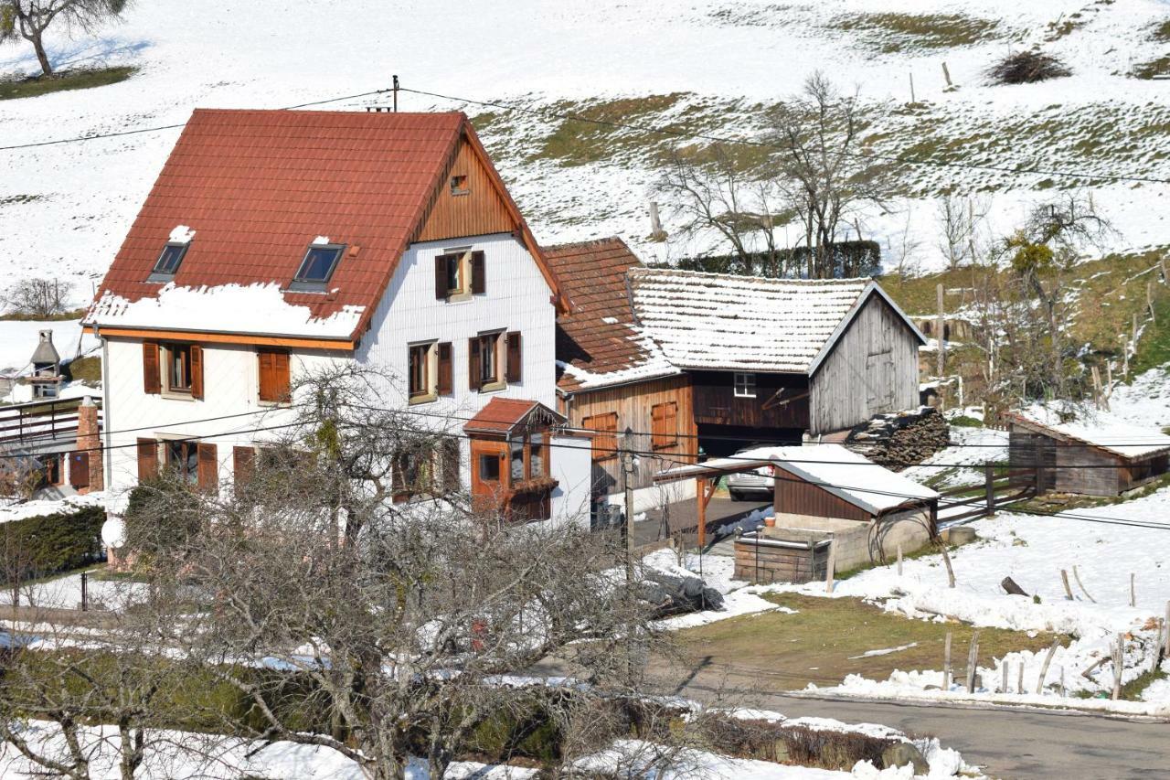 Spacieux Et Confortables Gites A Proximite Randonnees, Lacs, Ski Nature Sondernach Экстерьер фото
